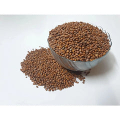 Generic Radish White Microgreen Seeds – Quick Growing, Perfect for Home Gardening